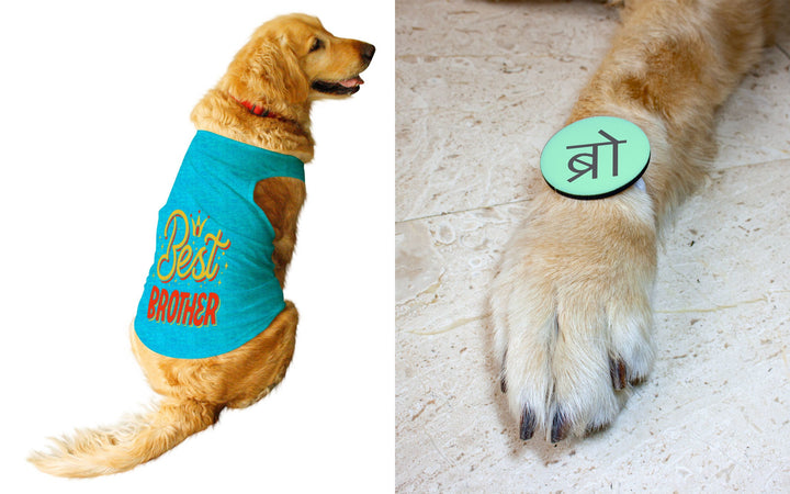 Set Of Dog Tee with Rakhi "Best Brother & Happy Raksha Bandhan" Printed Vest & Fridge Magnet Rakhi Gift For Bro/Boys Dogs