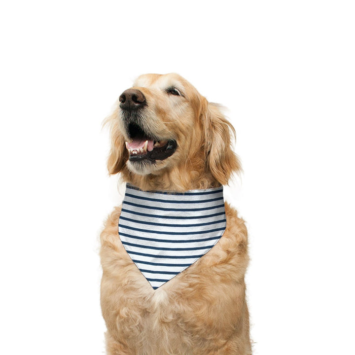 Acai Berry Striped and Navy Solid Reversible Bandana for Dogs
