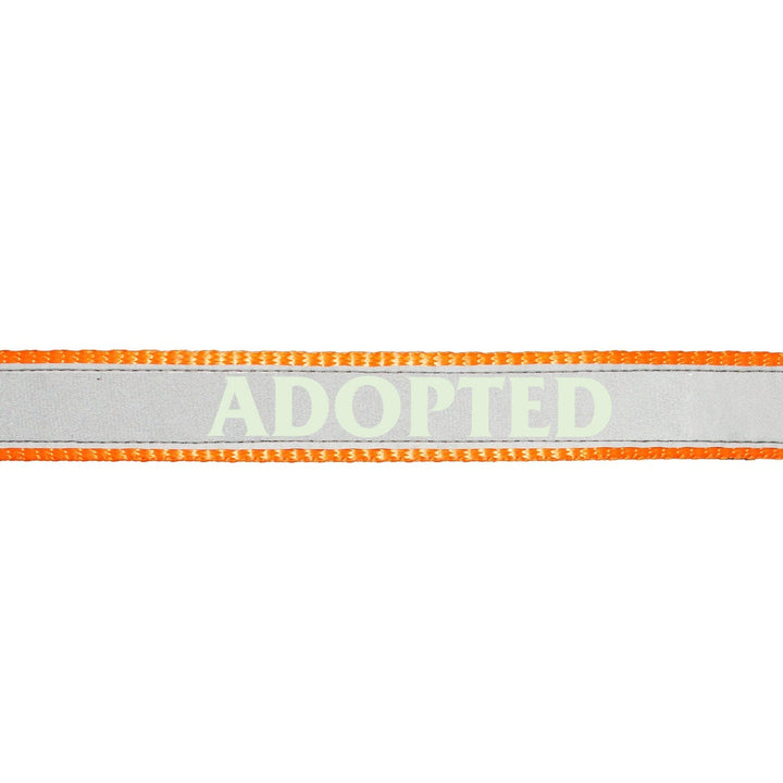 "Adopted" Night Glow Printed Reflective Nylon Neck Belt Collar for Dogs
