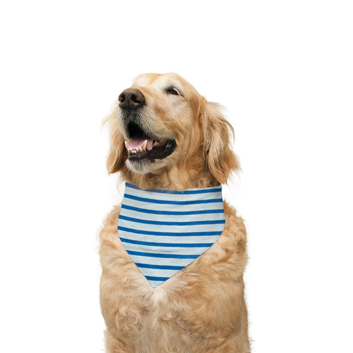 All I want for Christmas' Reversible Bandana for Dogs