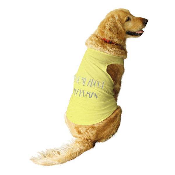 Color_Aqua Green/Golden