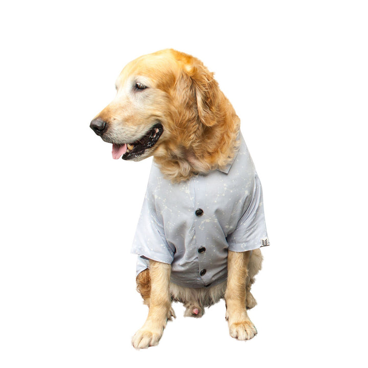 Constellation Printed Dog Shirt | SoftTech Fabric