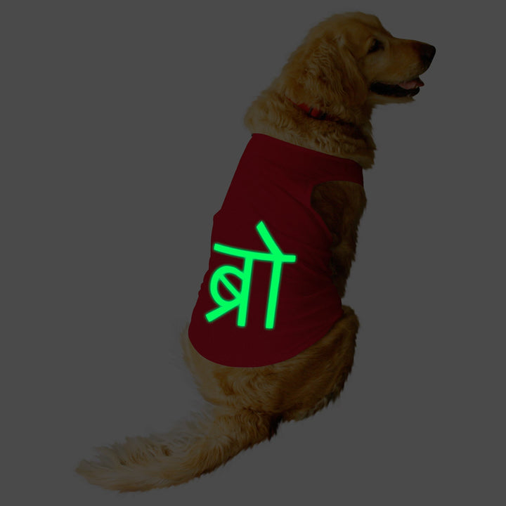 "Desi Bro" Night Glow Printed Dog Tee