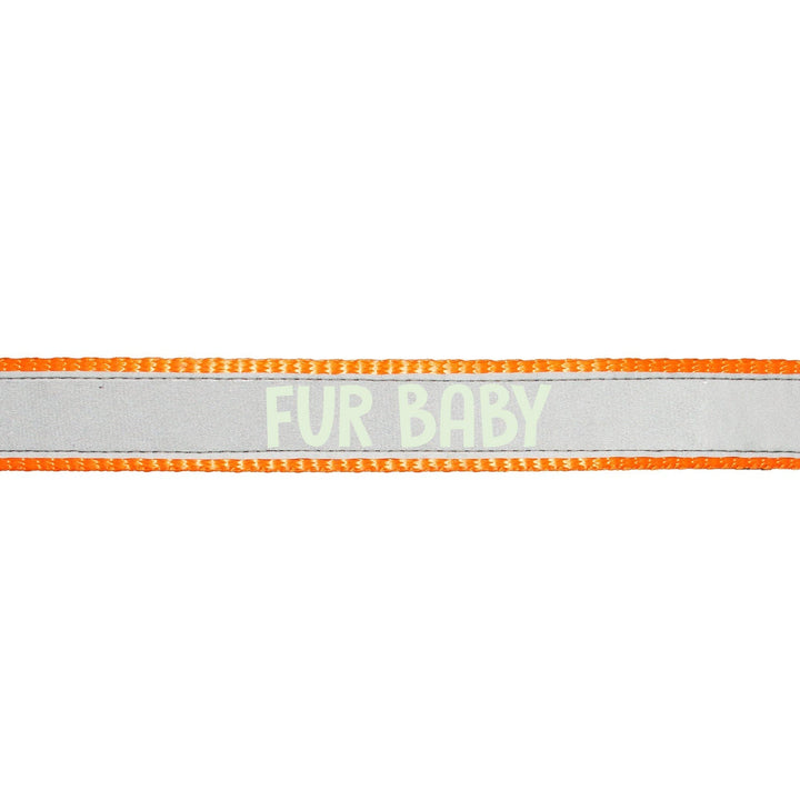 "Fur Baby" Night Glow Printed Reflective Nylon Neck Belt Collar for Dogs