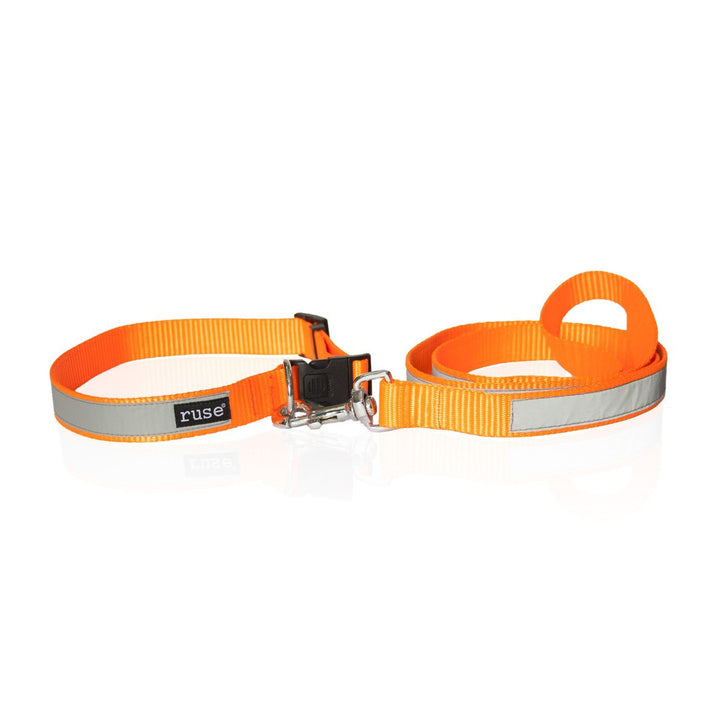 Night Glow and Reflective Nylon Adjustable Collar and Leash for Cats