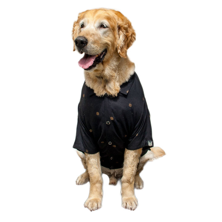 Gold Flower Dog Shirt | SoftTech Fabric