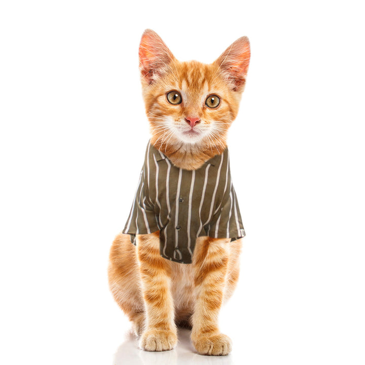Green Striper Cat Shirt | SoftTech Fabric