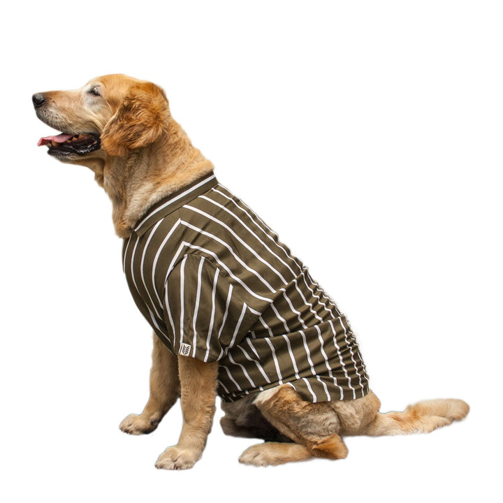 Green Striper Dog Shirt | SoftTech Fabric
