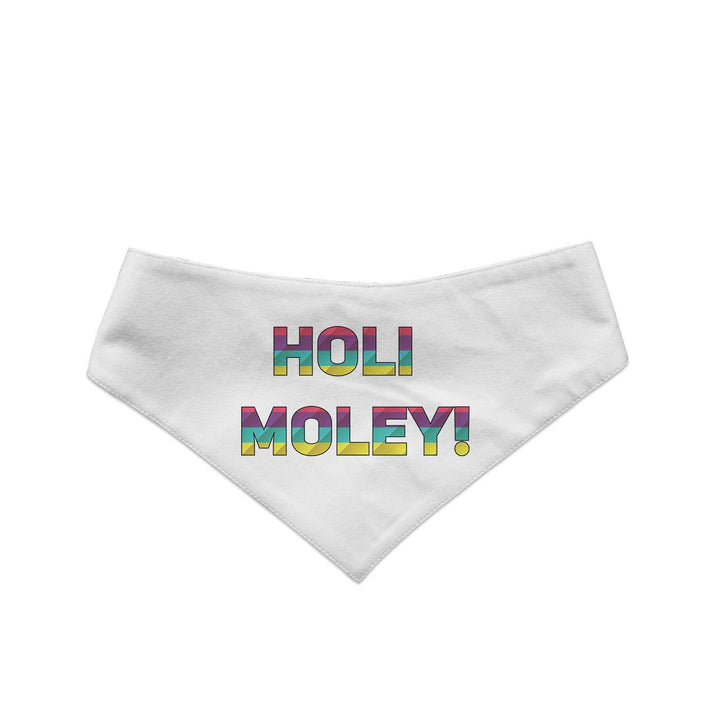 "Holi Moley" Printed and Striped Reversible Bandana for Cats