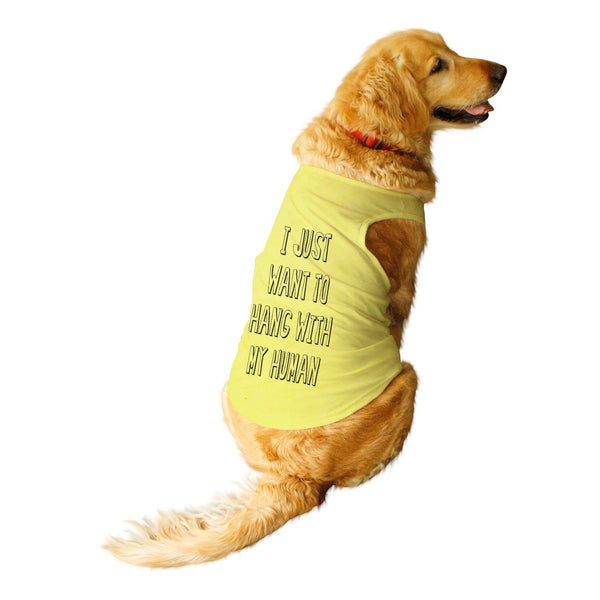 Color_Lemon Tonic and Black