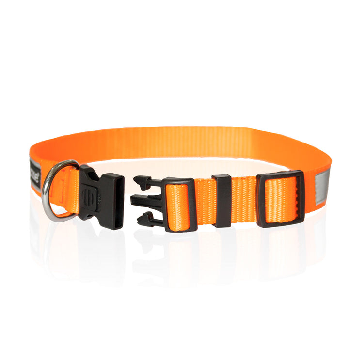 "Issa Vibe" Night Glow Printed Reflective Nylon Neck Belt Collar for Dogs