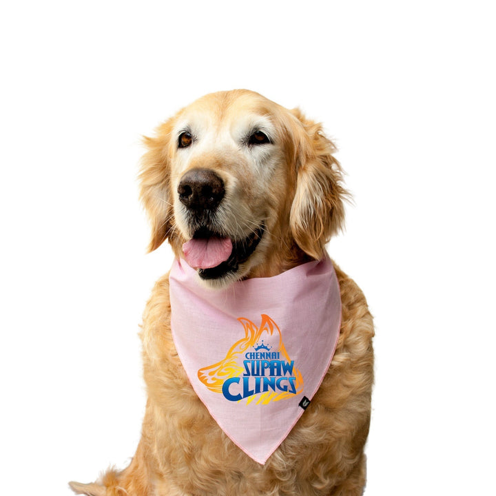 "Chennai Supaw Clings" Printed Knotty Dog Bandana