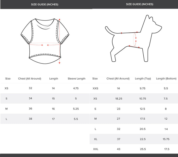 Ruse Twinning Women Crop Top & Dog Tank "The Holi Crew" Colorful Printed Half Sleeves Dog and Women Pet Parent Set