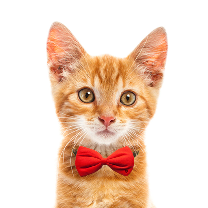 Solid Upcycled Cotton Puffy Cat Bow Tie