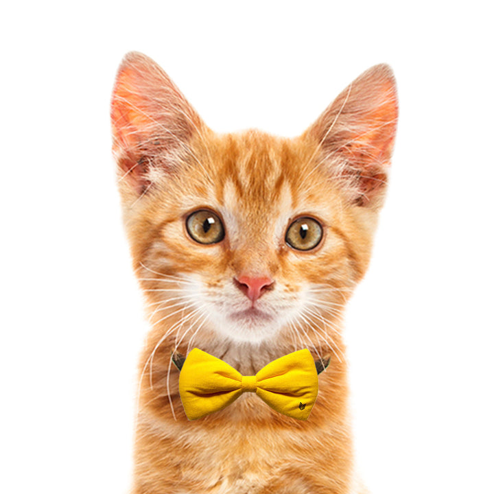 Solid Upcycled Cotton Puffy Cat Bow Tie