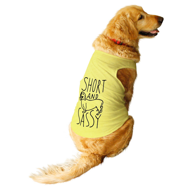 Clothes for Dogs