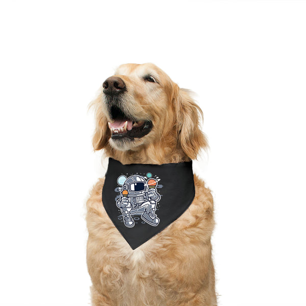 Color_Black-Berry Striped