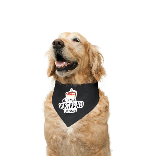 Color_Black-Berry Striped