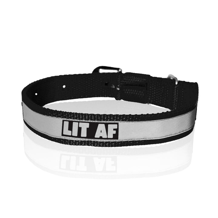 "Lit AF" Printed Reflective Nylon Neck Belt Collar for Dogs