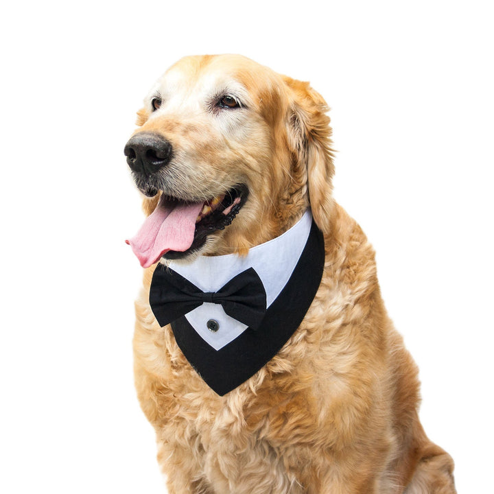 Reversible Tuxedo Bandana for Dogs