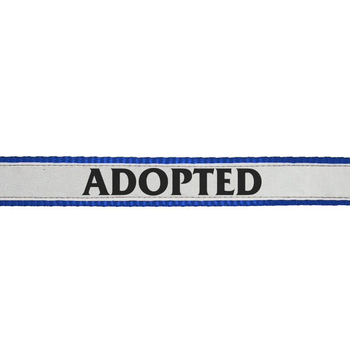 "Adopted" Printed Reflective Nylon Neck Belt Adjustable Cat Collar