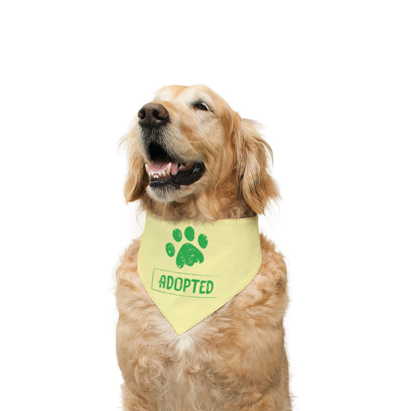 Color_Lemon Yellow and Chevron Striped