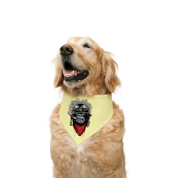 Color_Lemon Yellow and Chevron Striped