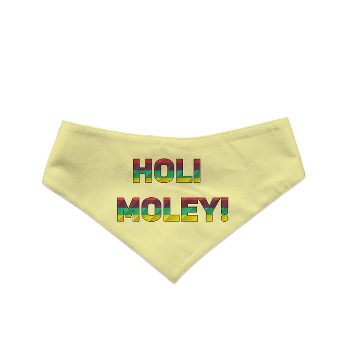 "Holi Moley" Printed and Striped Reversible Bandana for Dogs