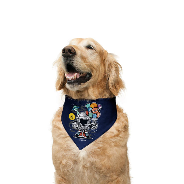 Color_Navy and Acai Berry Striped