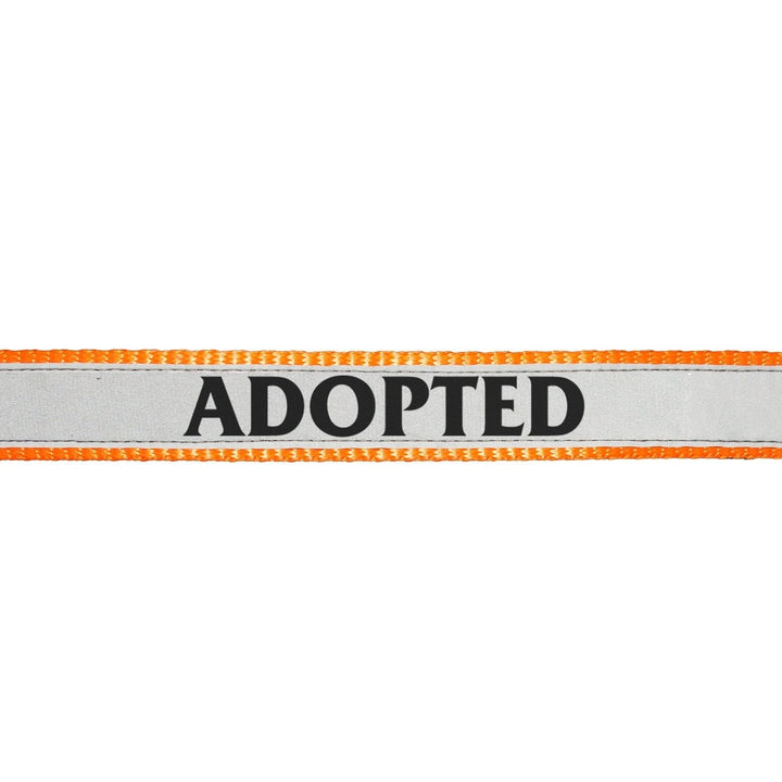 "Adopted" Printed Reflective Nylon Neck Belt Adjustable Cat Collar