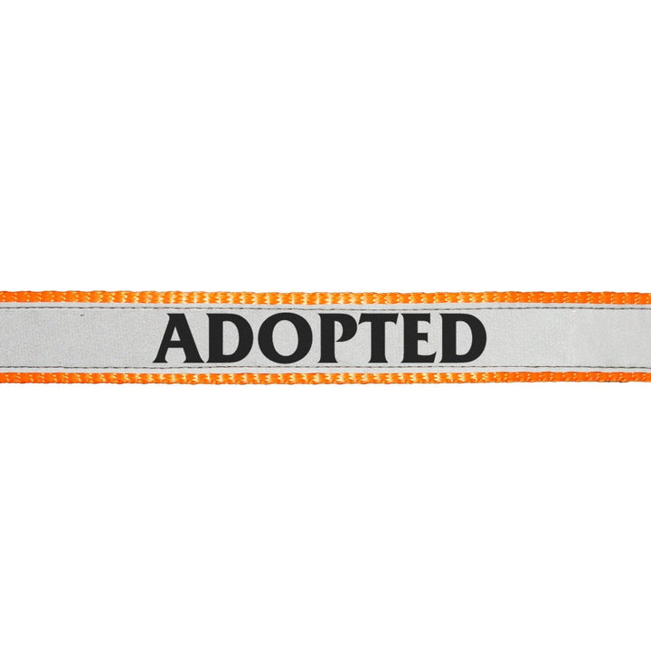 "Adopted" Printed Reflective Nylon Neck Belt Adjustable Dog Collar