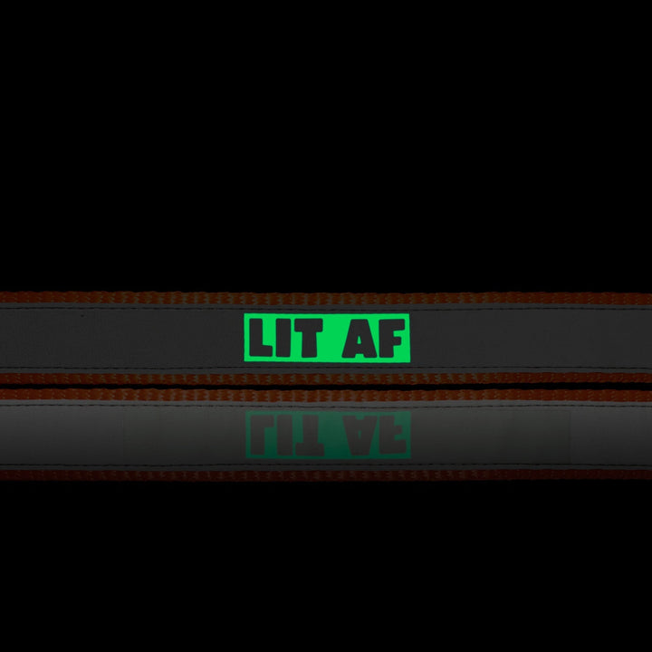 "Lit AF" Night Glow Printed Reflective Nylon Neck Belt Collar for Dogs