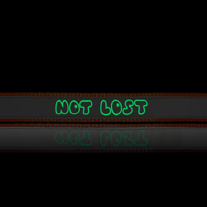 "Not Lost" Dog Night Glow Printed Reflective Nylon Neck Belt Collar for Dogs