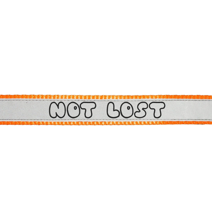 "Not Lost Dog" Printed Reflective Nylon Neck Belt Adjustable Dog Collar