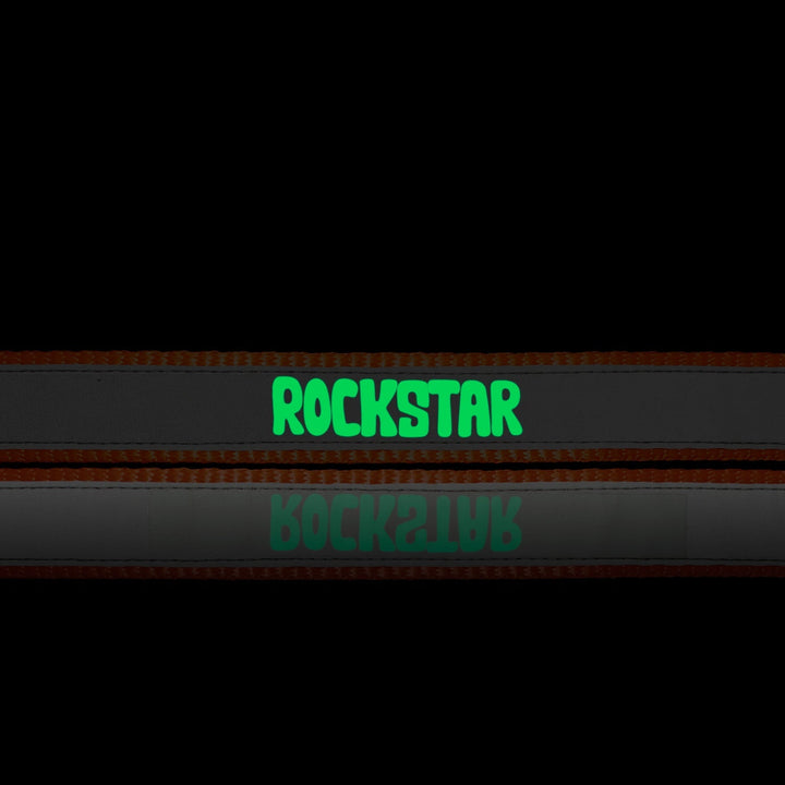 "Rockstar" Night Glow Printed Reflective Nylon Neck Belt Collar for Dogs
