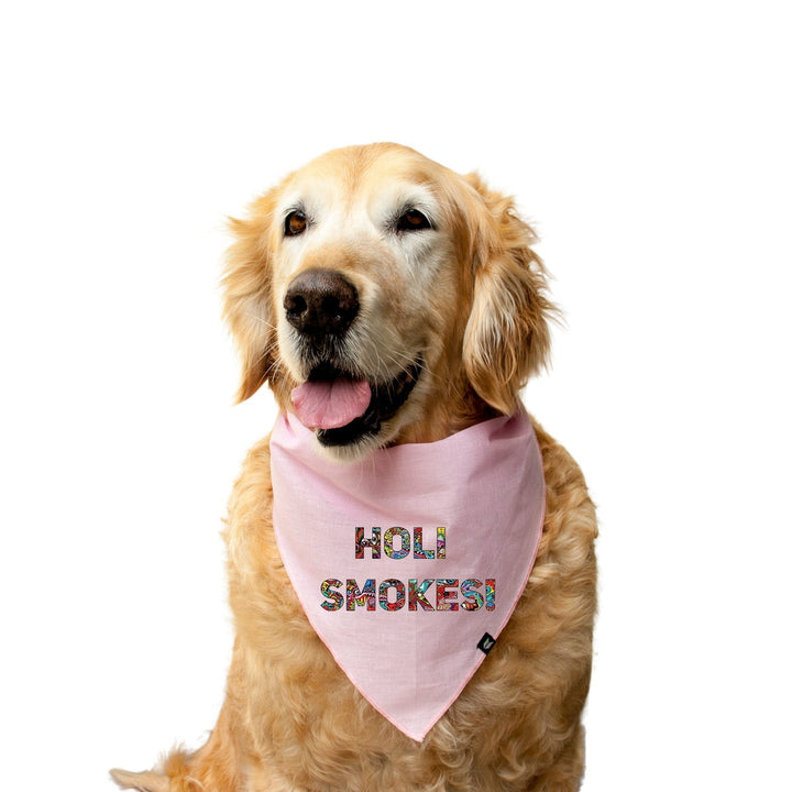 "Holi Smoke" Printed Knotty Dog Bandana