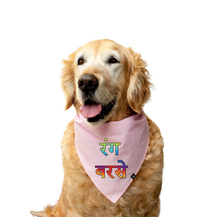 "Rang Barse" Printed Knotty Dog Bandana