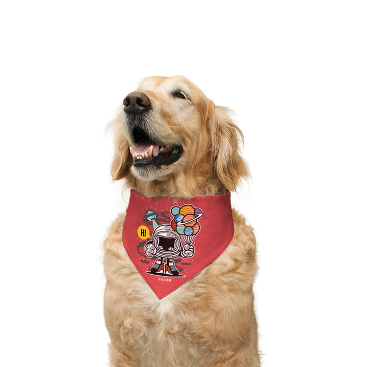 "Gift From Outer Space" Printed Reversible Bandana for Dogs