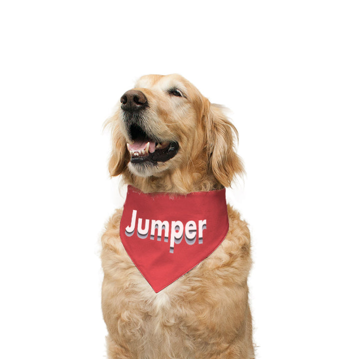 "Jumper" Printed Reversible Bandana for Dogs