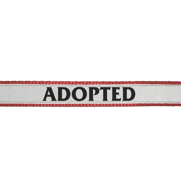 "Adopted" Printed Reflective Nylon Neck Belt Adjustable Dog Collar