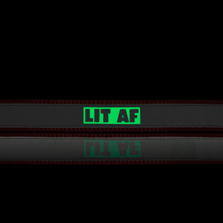 "Lit AF" Night Glow Printed Reflective Nylon Neck Belt Collar for Dogs