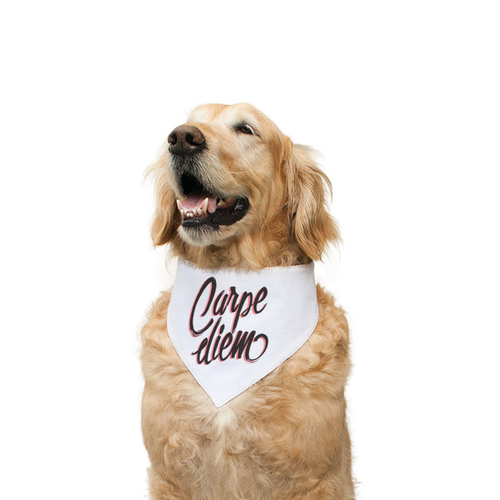 "Carpe Diem" Printed Reversible Bandana for Dogs