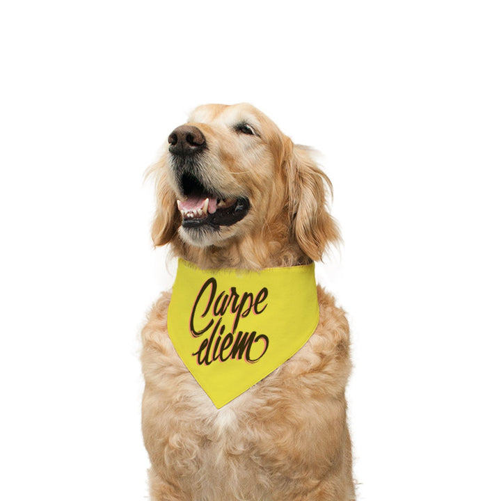 "Carpe Diem" Printed Reversible Bandana for Dogs