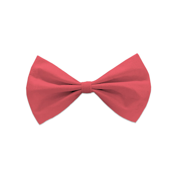 Solid Upcycled Cotton Cat Bow Tie