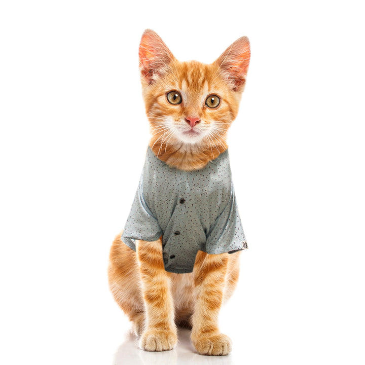 Static Sprinkles Cat Shirt | SoftTech Fabric