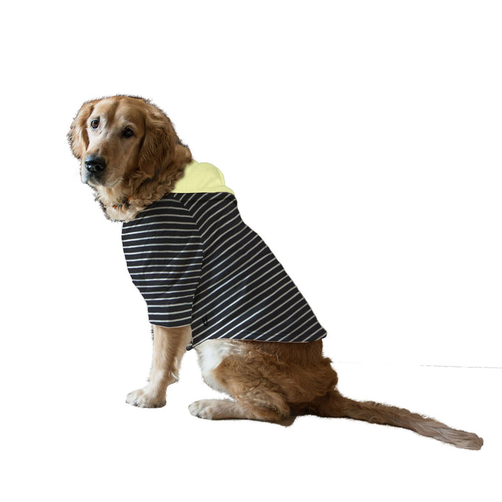 Striped Full Sleeves With Drawstring Dog Jumper Hoodie