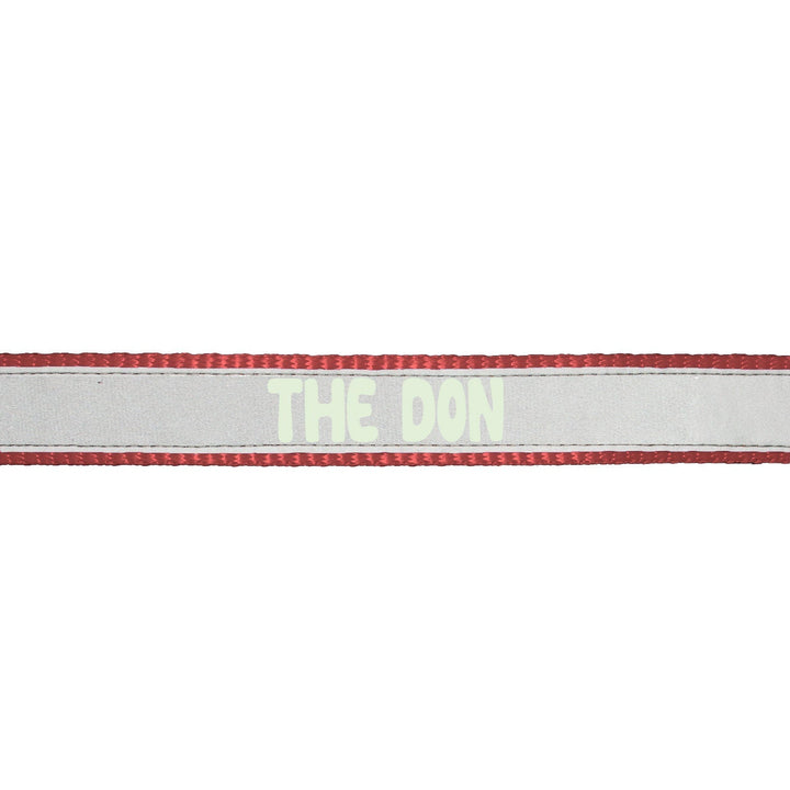 "The Don" Night Glow Printed Reflective Nylon Neck Belt Collar for Dogs
