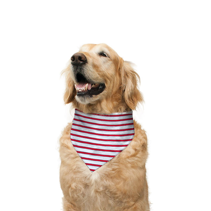 Vanilla Strawberry Striped and Poppy Red Solid Reversible Bandana for Dogs