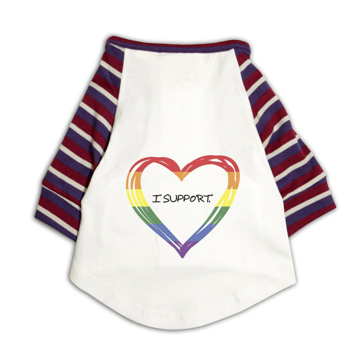 "LGBTQ - 2" Striper Raglan Cat Streetwear Tee