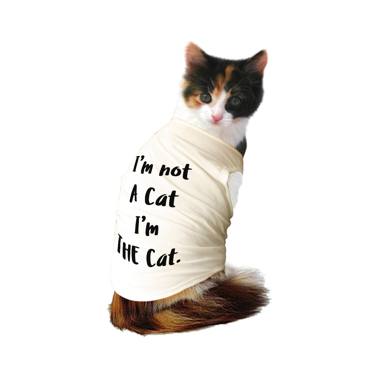 The Cat